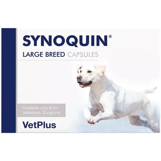 Synoquin Large Breed 120 gélules