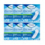 Tena Lady Pack Maxi Pads, 6 X 12 unités