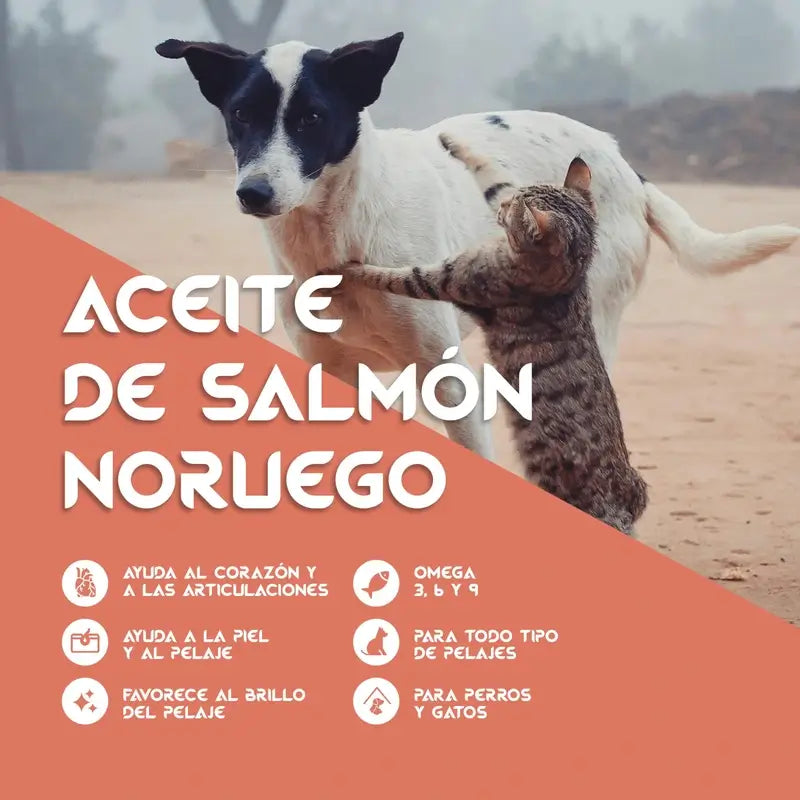 Huile de saumon du Togo, 250 ml