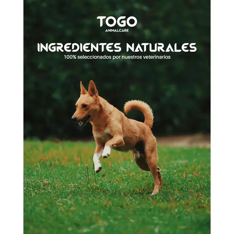 Togo Aliment pour chiens au saumon naturel hypoallergénique, 15 kg