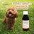 Heel Tusheel Veterinary Cough Syrup Chiens et Chats 150 ml