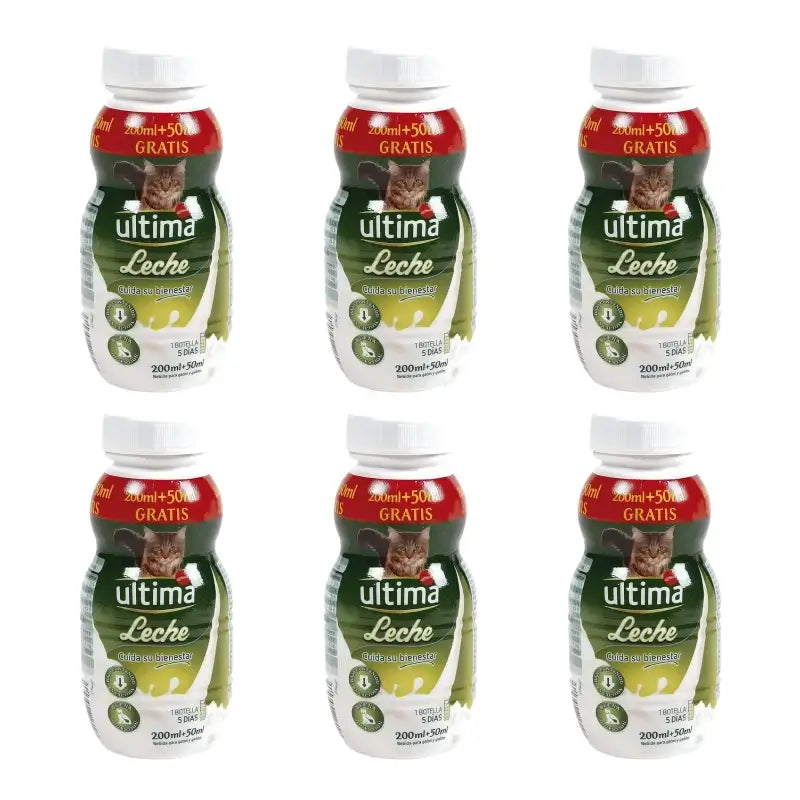 Lait Ultima pour chats et chatons, 250 ml, lot de 6