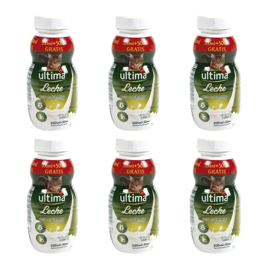 Lait Ultima pour chats et chatons, 250 ml, lot de 6