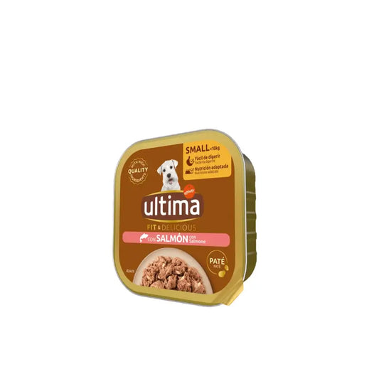 Dernière nourriture humide Ud Mini Wet Terrine au saumon, sans céréales, 150 g
