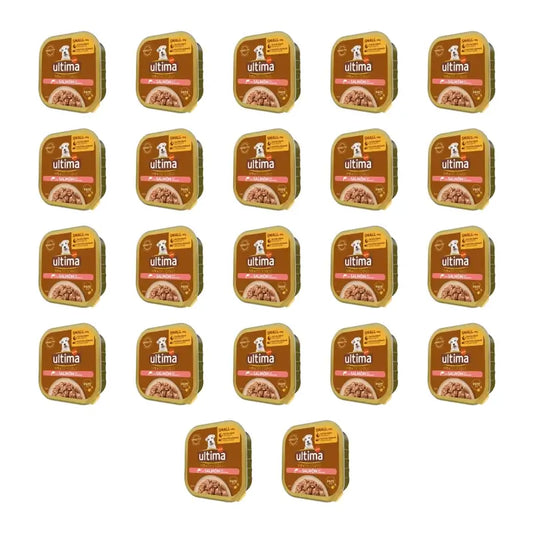 Ultima Mini Pâté au saumon, 150 g, lot de 22