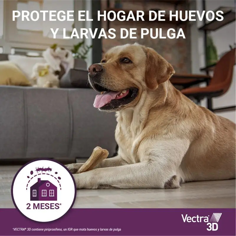 Vectra 3D Chien +40 kg, 3 pipettes