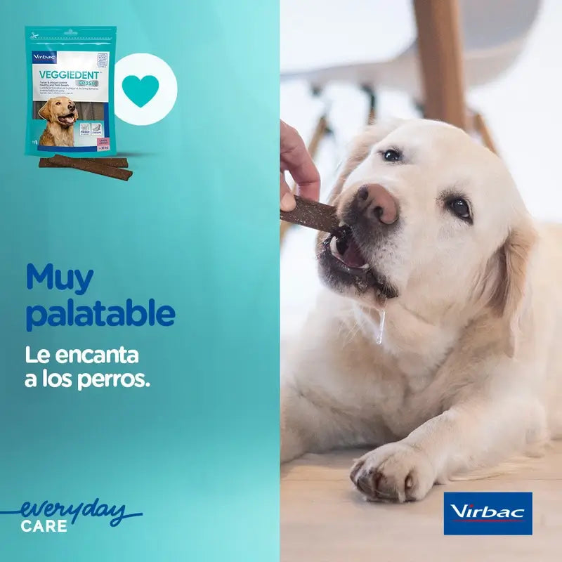 Virbac Veggiedent Fr3sh L, Snacks dentaires pour chiens de grande race