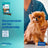 Virbac Veggiedent Fr3sh XS, Snacks dentaires pour chiens de très petite race