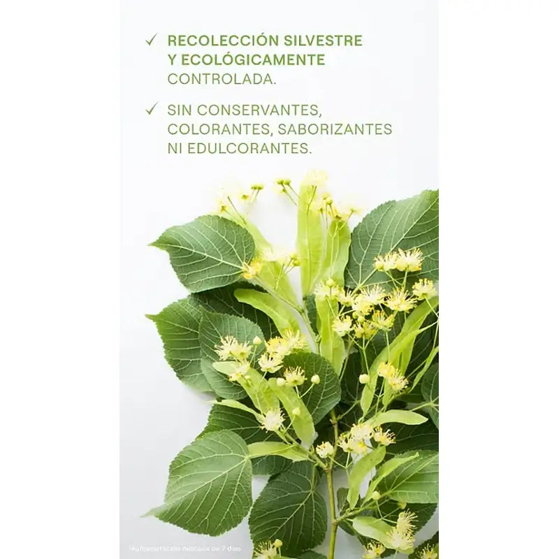 Weleda Jus de Bouleau, 200 ml