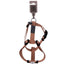 Wouapy Harness Basic Line Earth 20Mm/52-80Cm