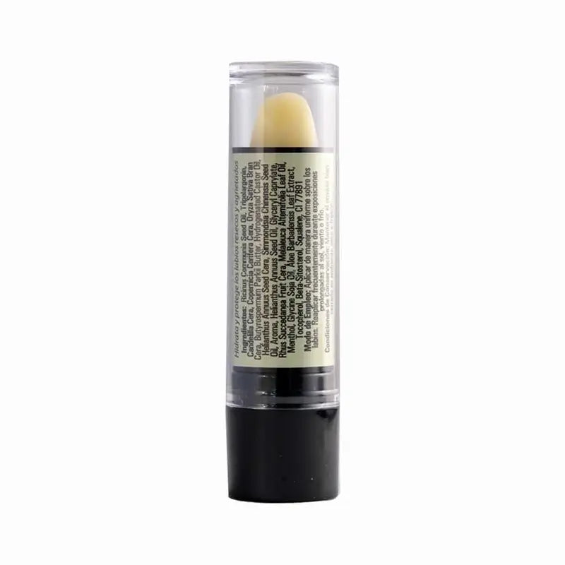Ynsadiet Stick à lèvres à l'aloès et à l'arbre à thé, 4 gr